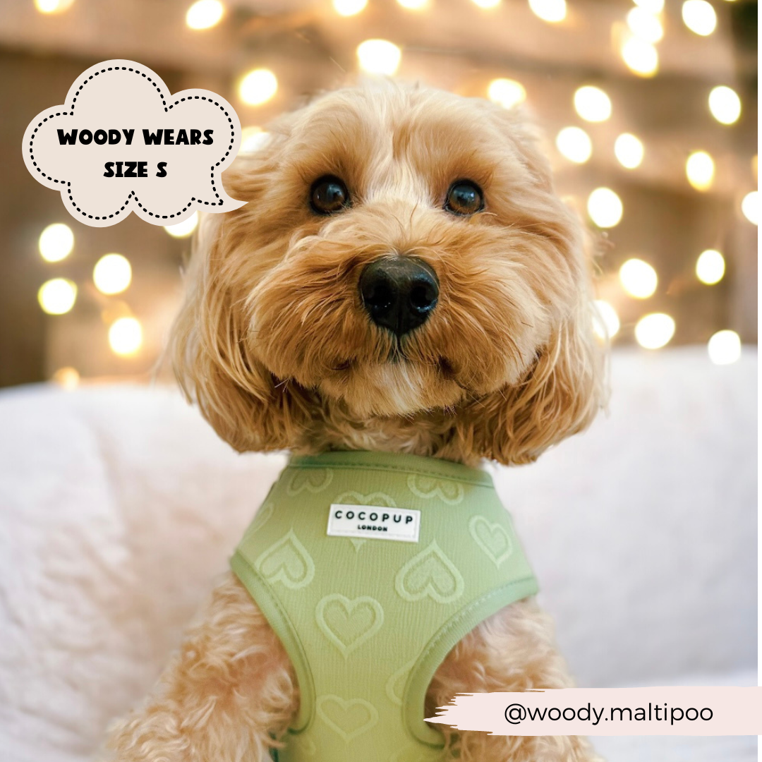 Luxe Adjustable Neck Harness - Sage Heart: