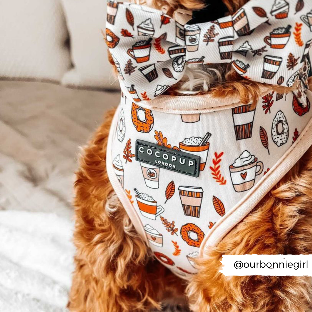 Autumn Puppuccino Adjustable Neck Harness:
