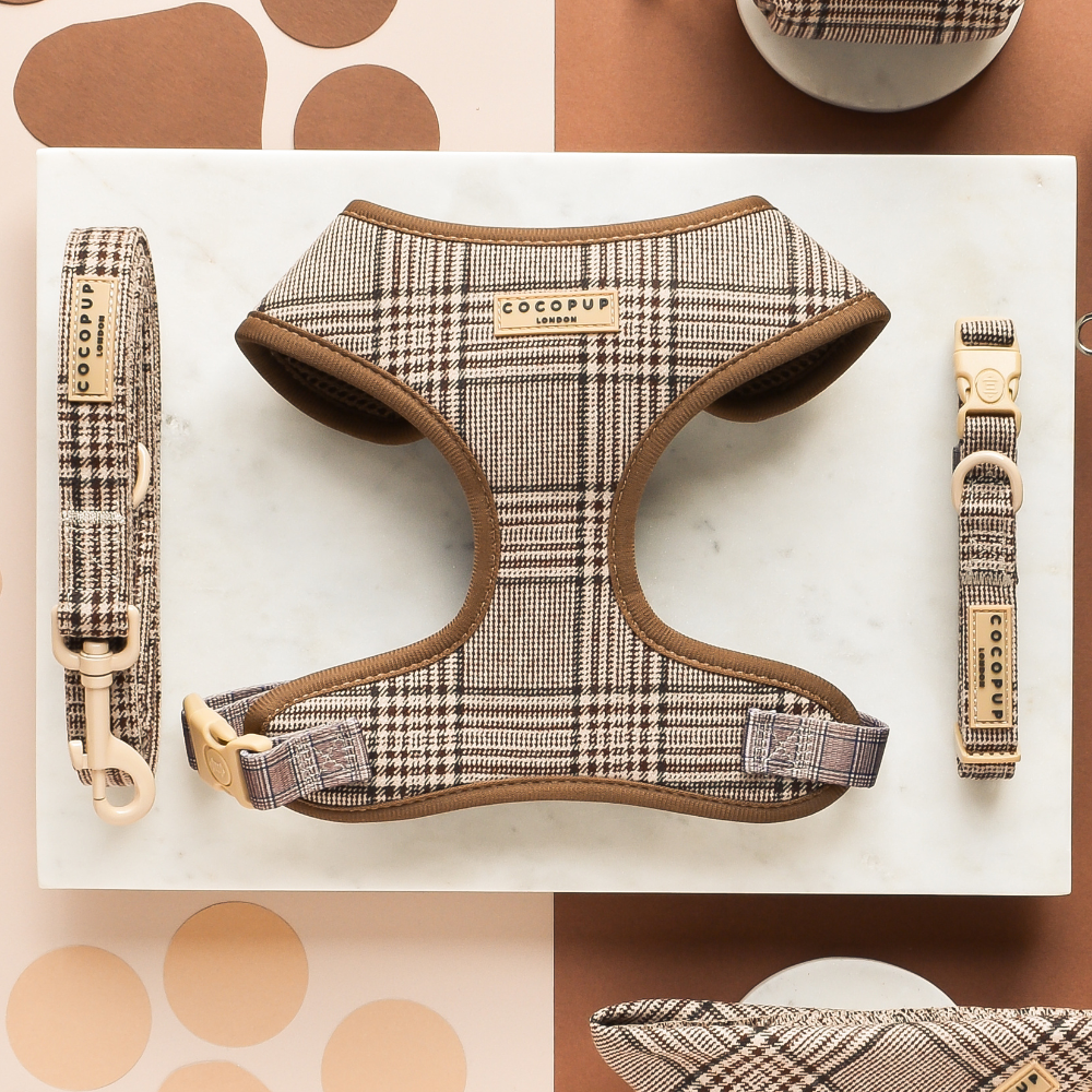 Pup Plaid Adjustable Neck Harness: