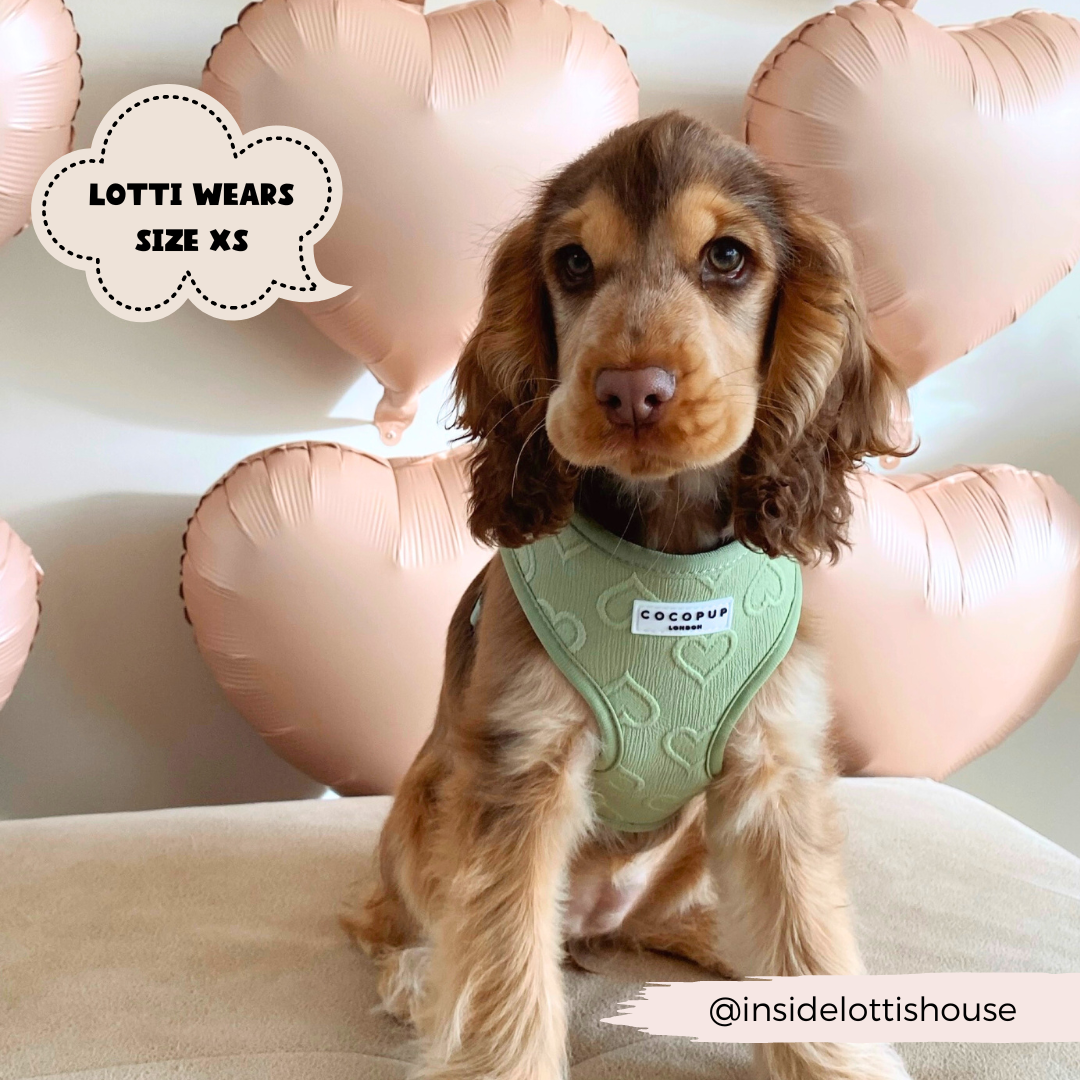 Luxe Adjustable Neck Harness - Sage Heart: