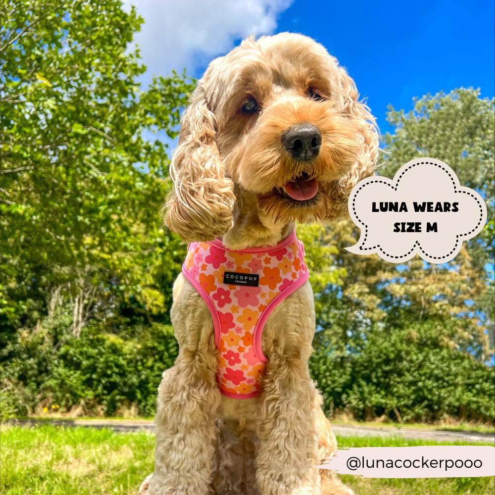 Summer Bloom Adjustable Neck Harness: