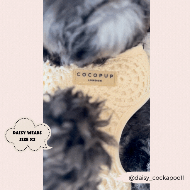 Festival Crochet Adjustable Neck Harness: