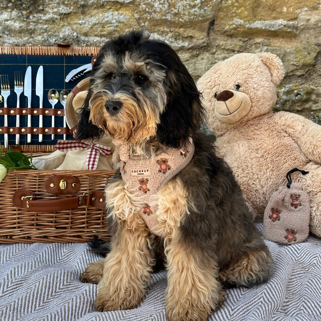 Theo Embroidered Teddy Adjustable Neck Harness: