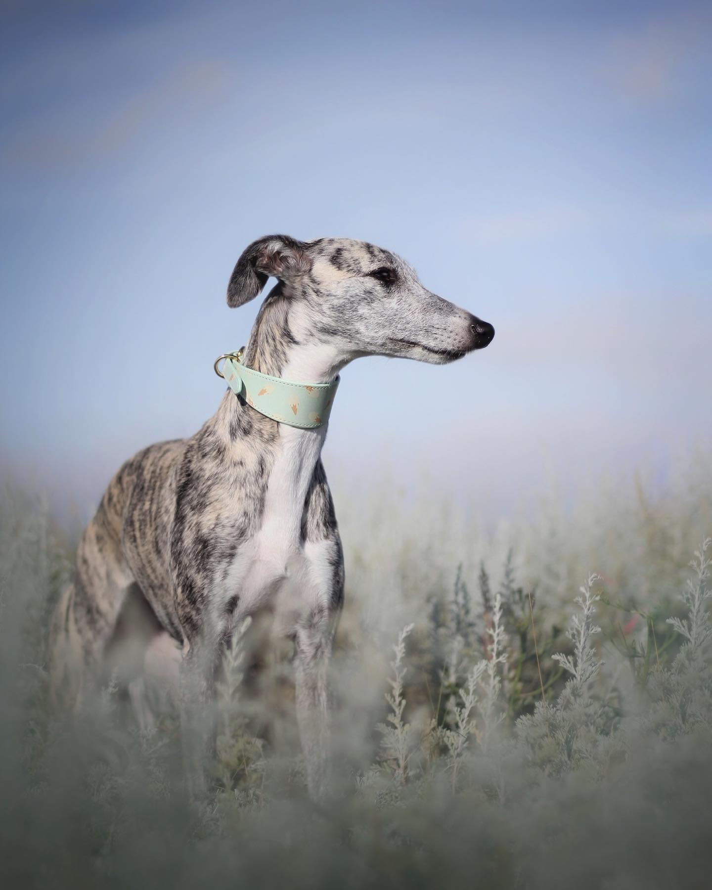 EOFY 50% off everything until June 30