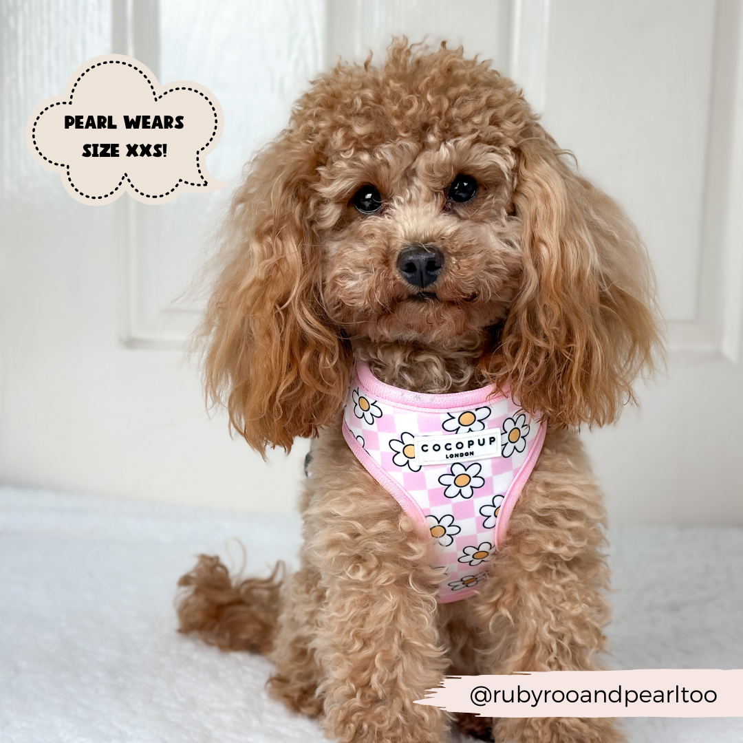 Daisy Gingham Rave Adjustable Neck Harness: