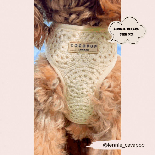 Festival Crochet Adjustable Neck Harness: