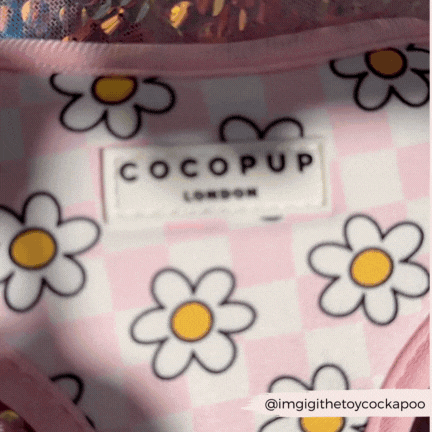 Daisy Gingham Rave Adjustable Neck Harness: