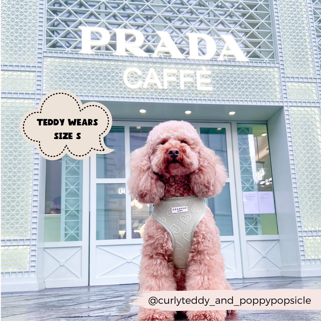 Luxe Adjustable Neck Harness - Sage Heart: