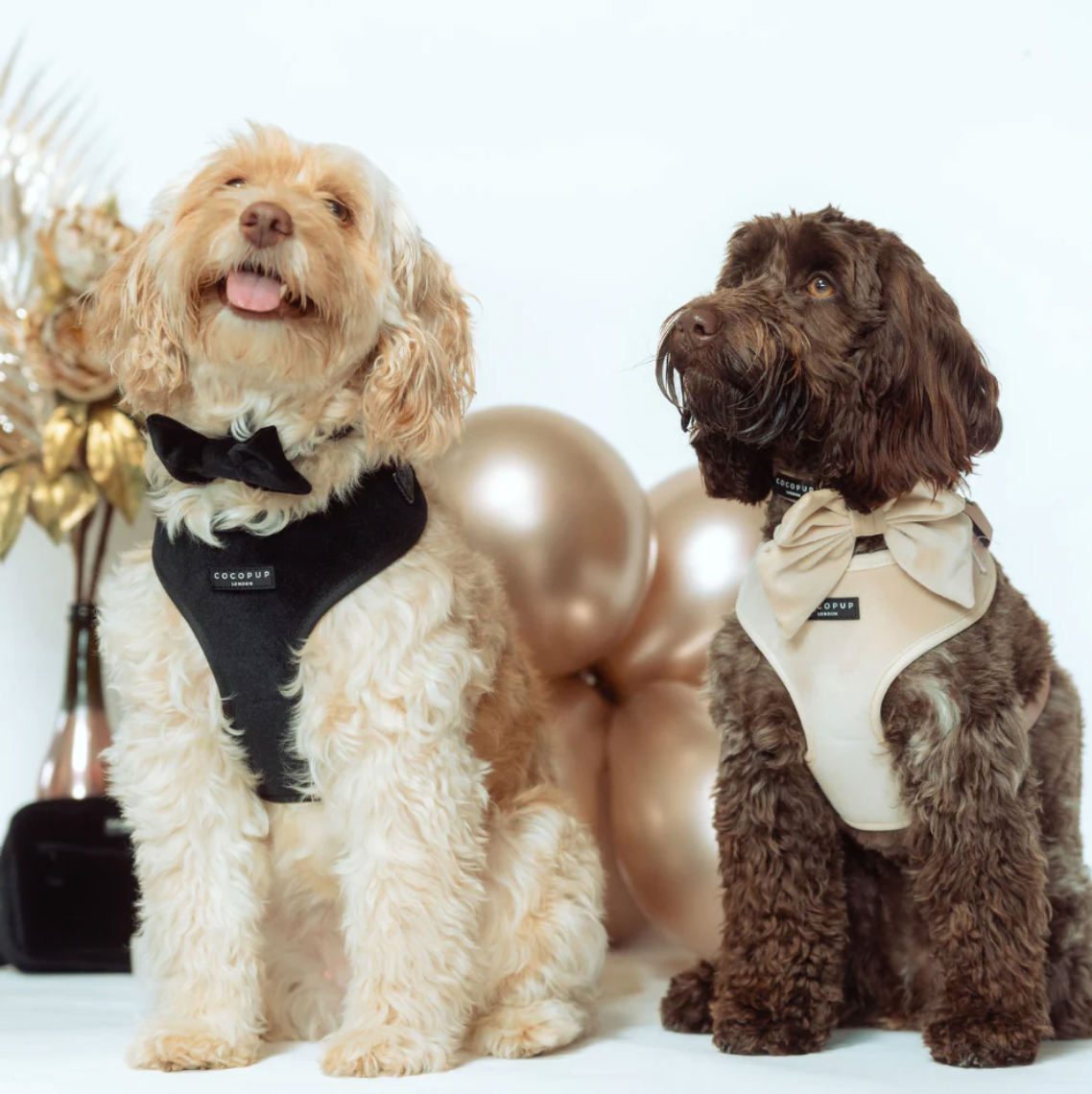 LUXE Velvet Adjustable Neck Harness - Noir: L