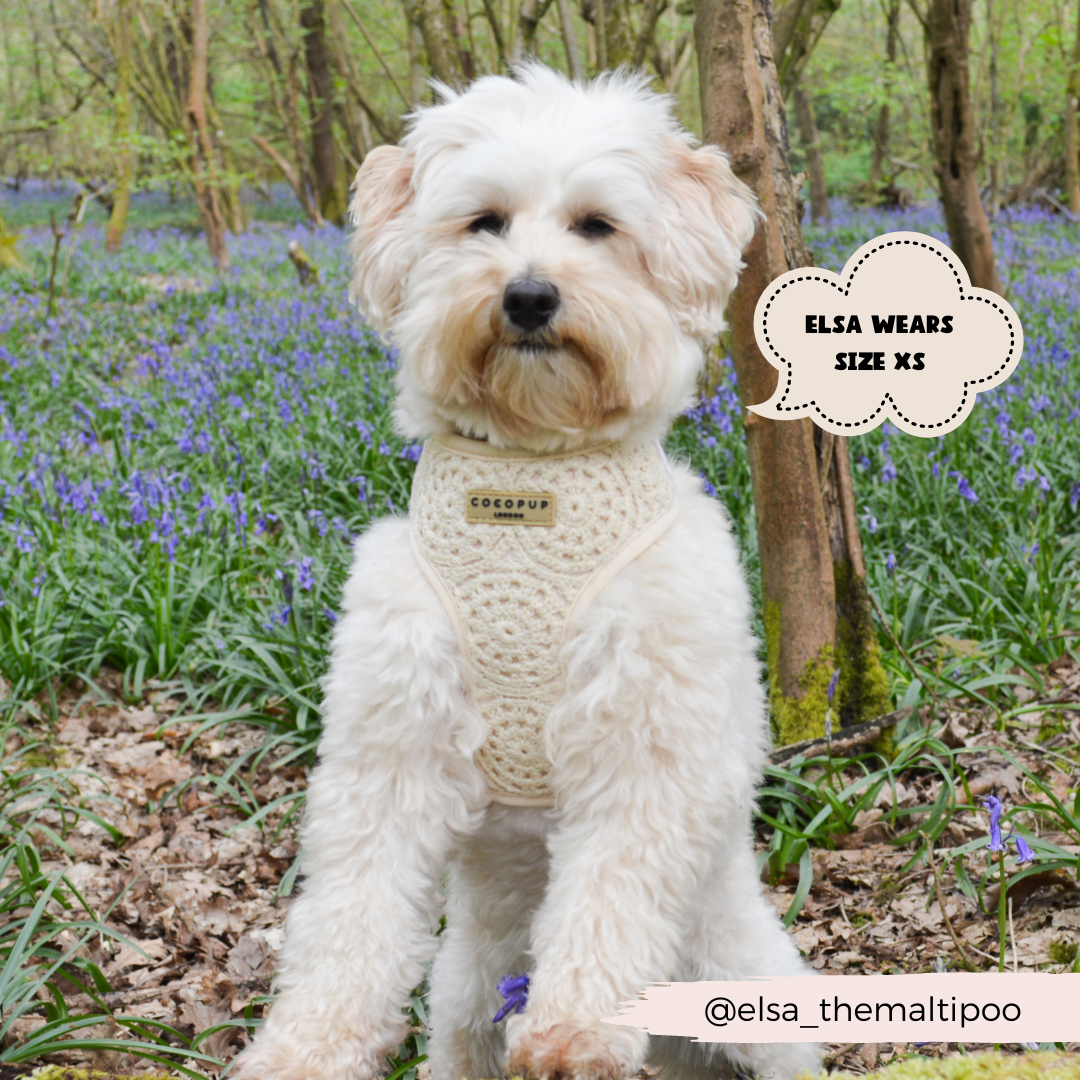 Festival Crochet Adjustable Neck Harness: