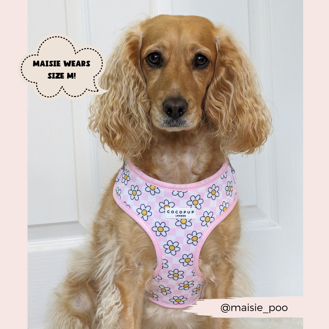 Daisy Gingham Rave Adjustable Neck Harness: