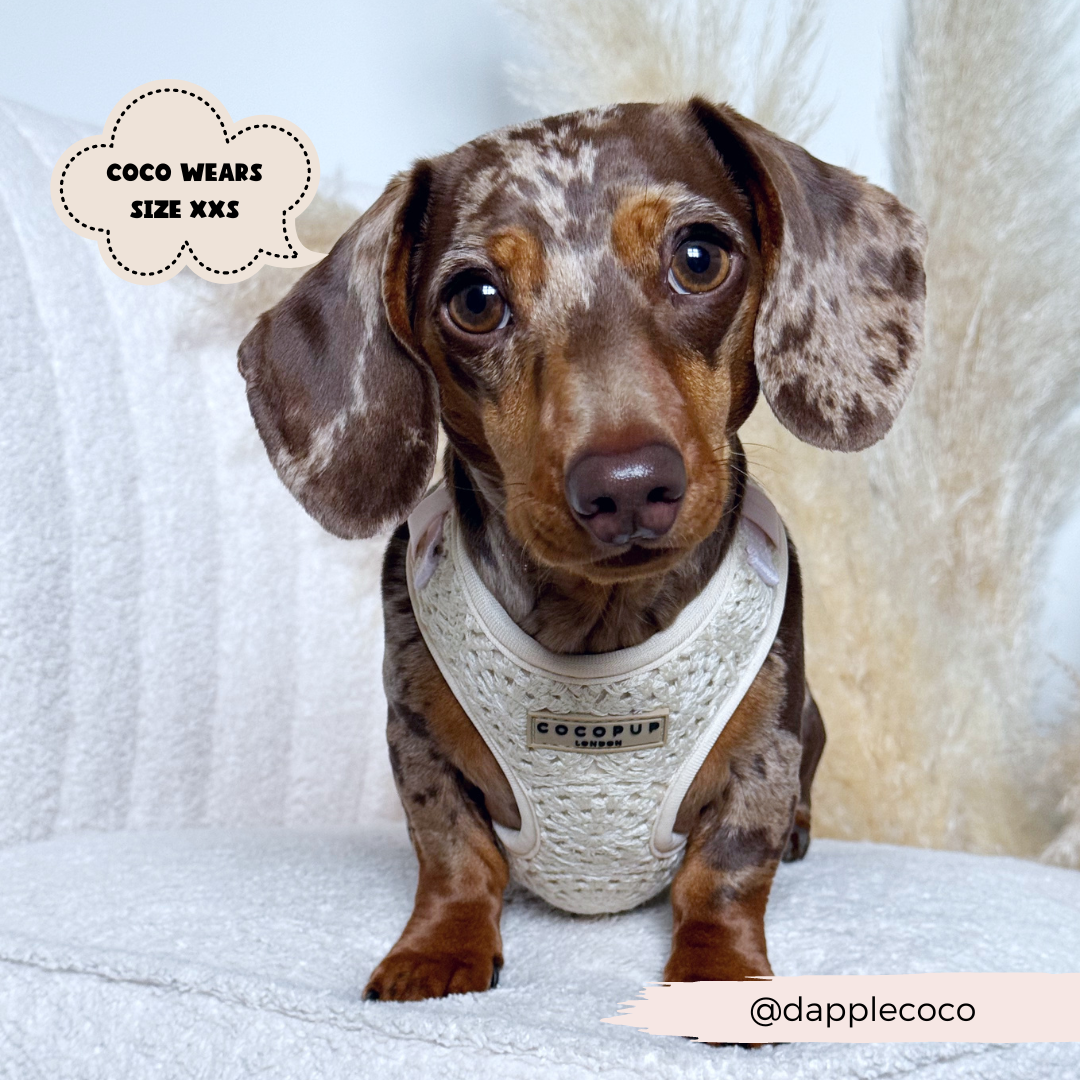 Festival Crochet Adjustable Neck Harness: