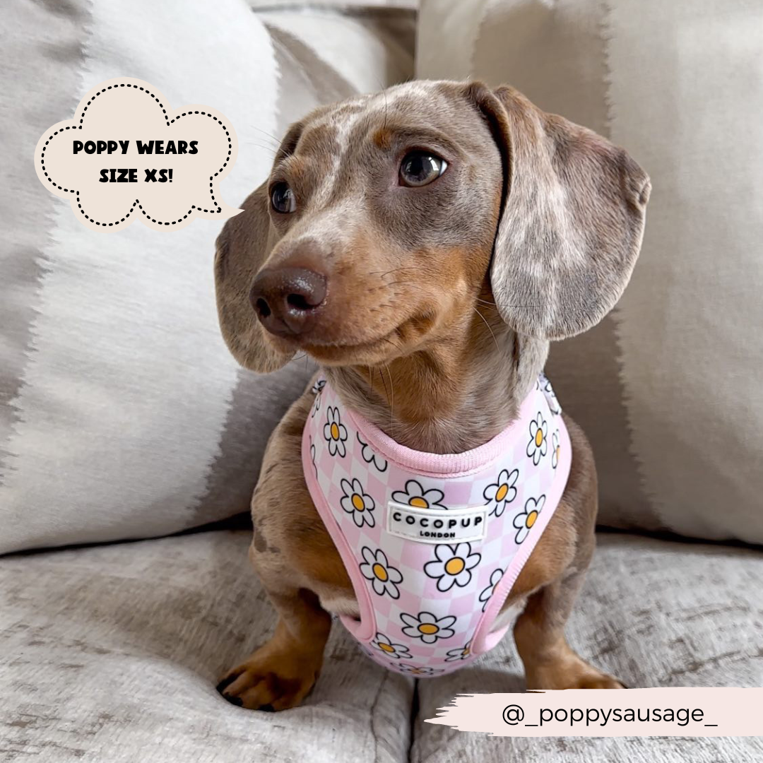 Daisy Gingham Rave Adjustable Neck Harness: