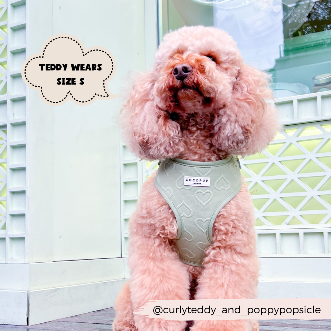 Luxe Adjustable Neck Harness - Sage Heart: