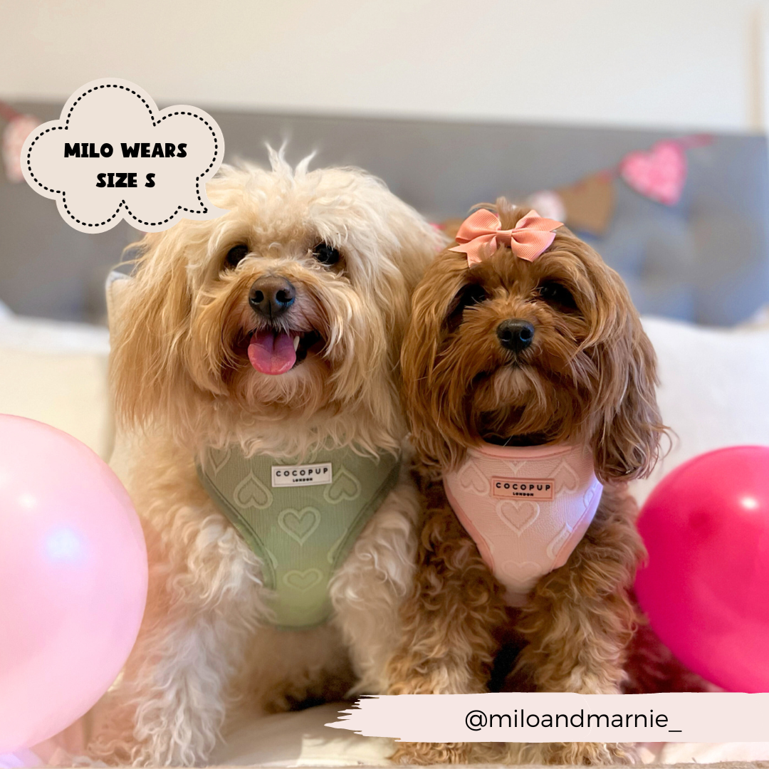 Luxe Adjustable Neck Harness - Baby Pink Heart: