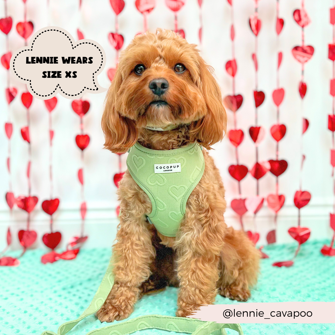Luxe Adjustable Neck Harness - Sage Heart: