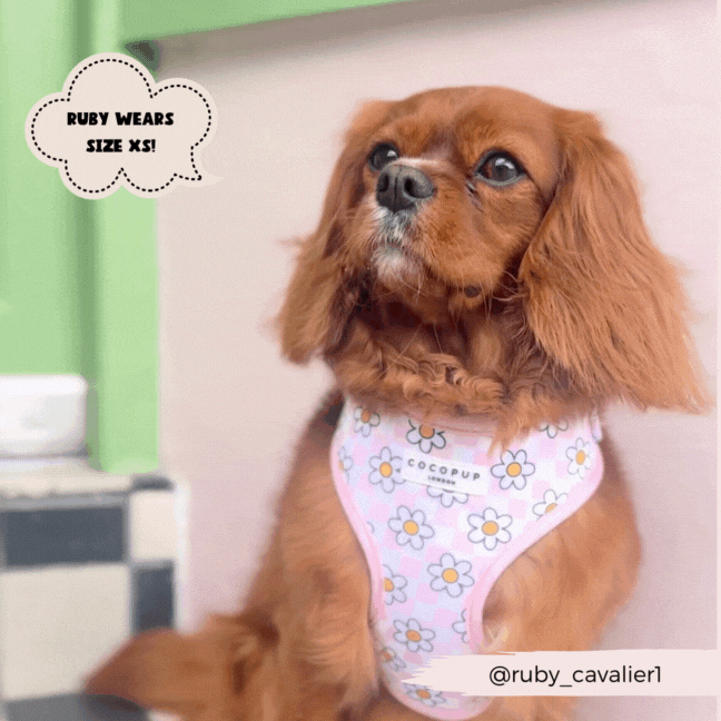Daisy Gingham Rave Adjustable Neck Harness: