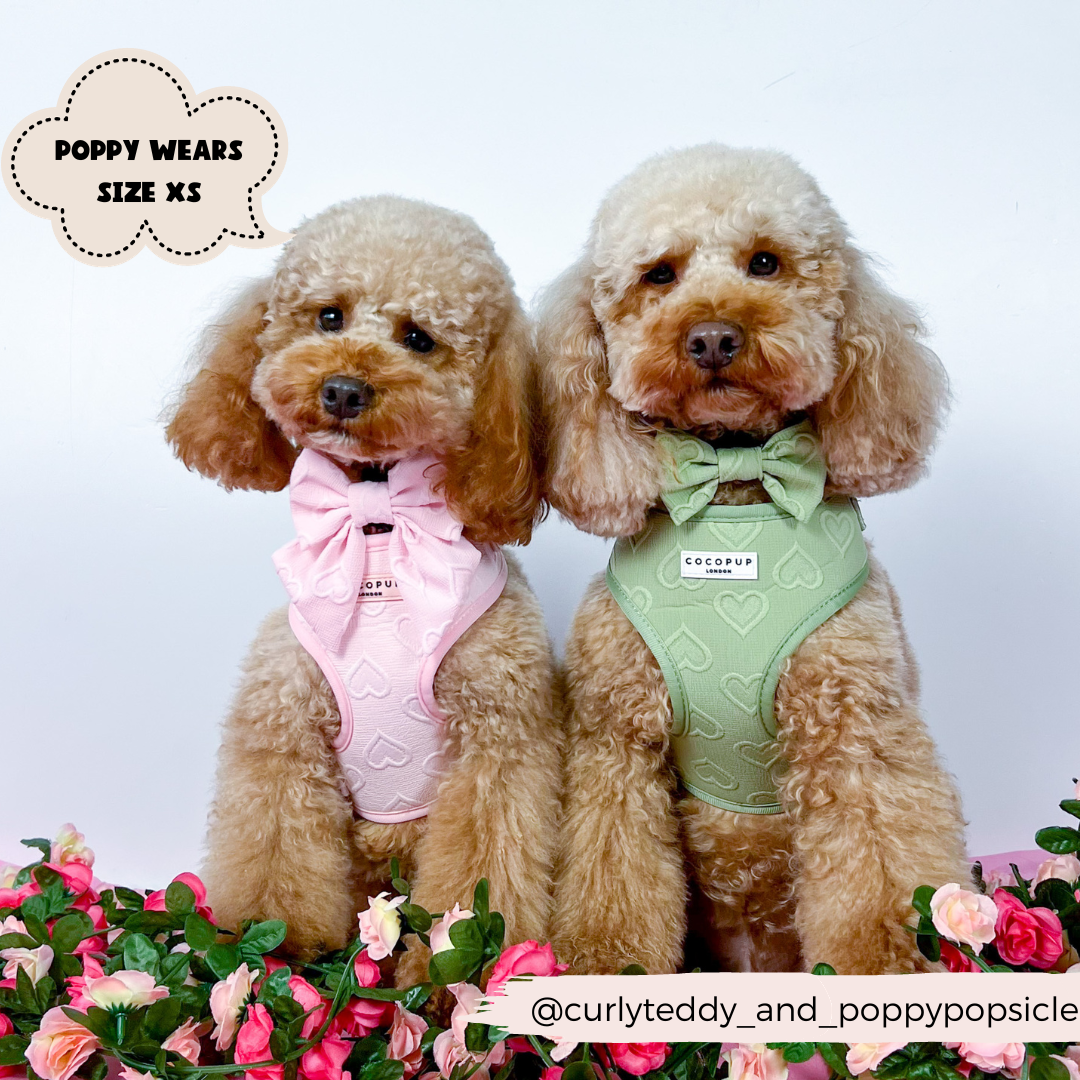 Luxe Adjustable Neck Harness - Sage Heart: