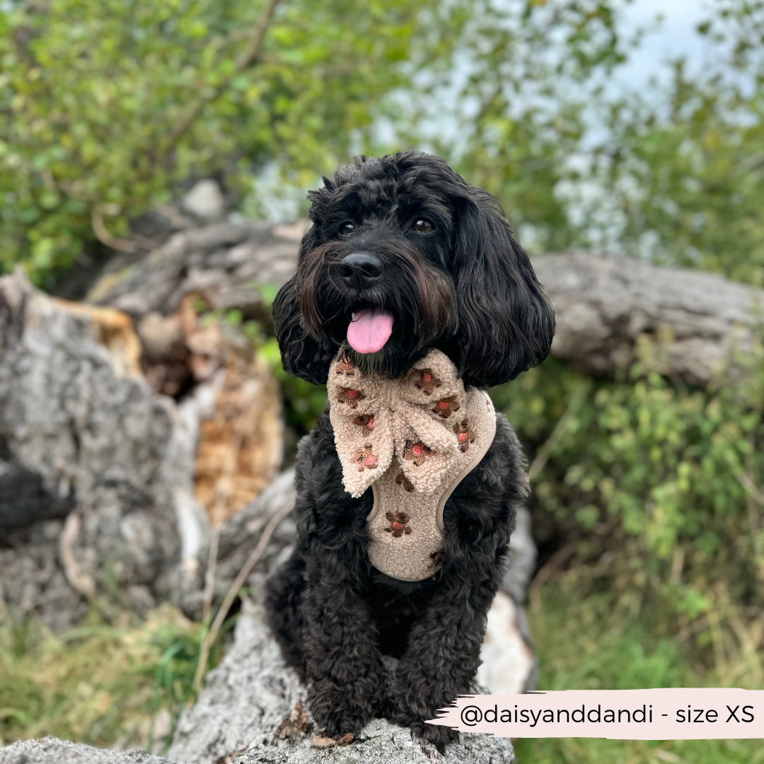 Theo Embroidered Teddy Adjustable Neck Harness: