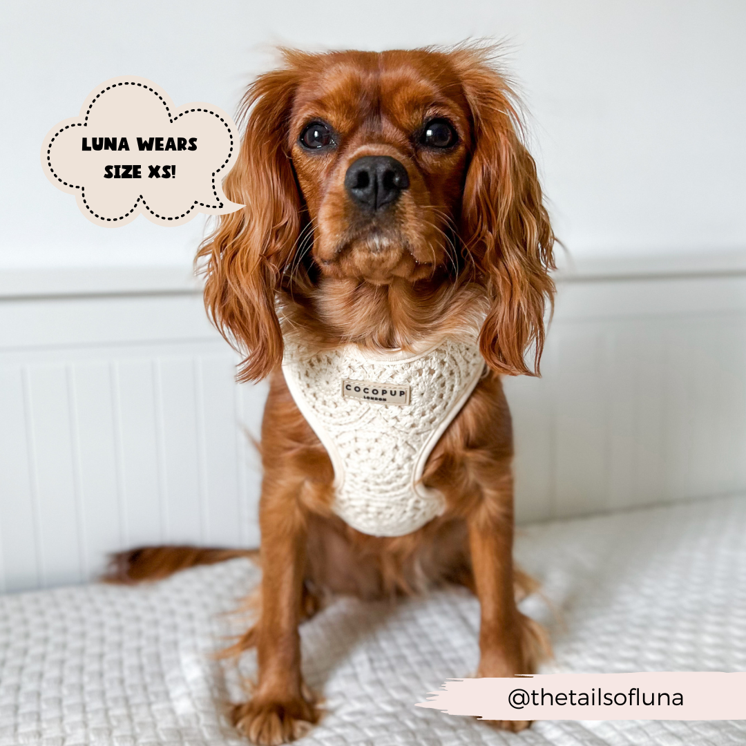 Festival Crochet Adjustable Neck Harness: