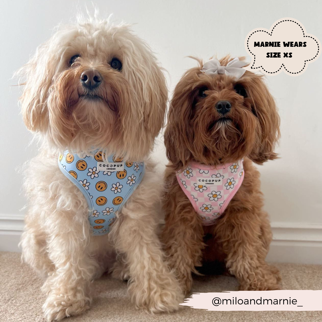 Daisy Gingham Rave Adjustable Neck Harness: