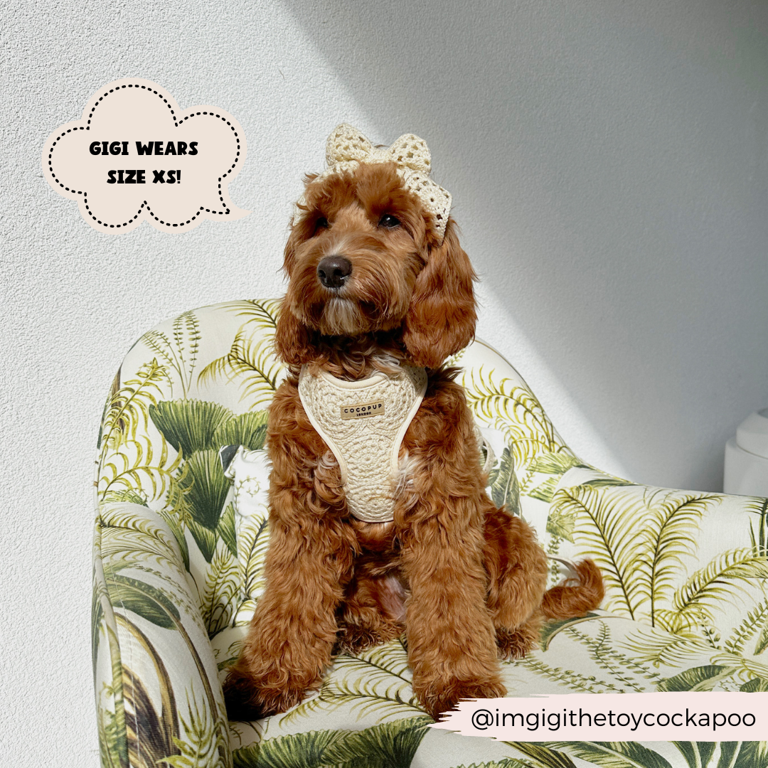 Festival Crochet Adjustable Neck Harness: