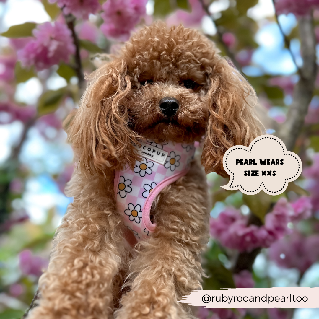 Daisy Gingham Rave Adjustable Neck Harness: