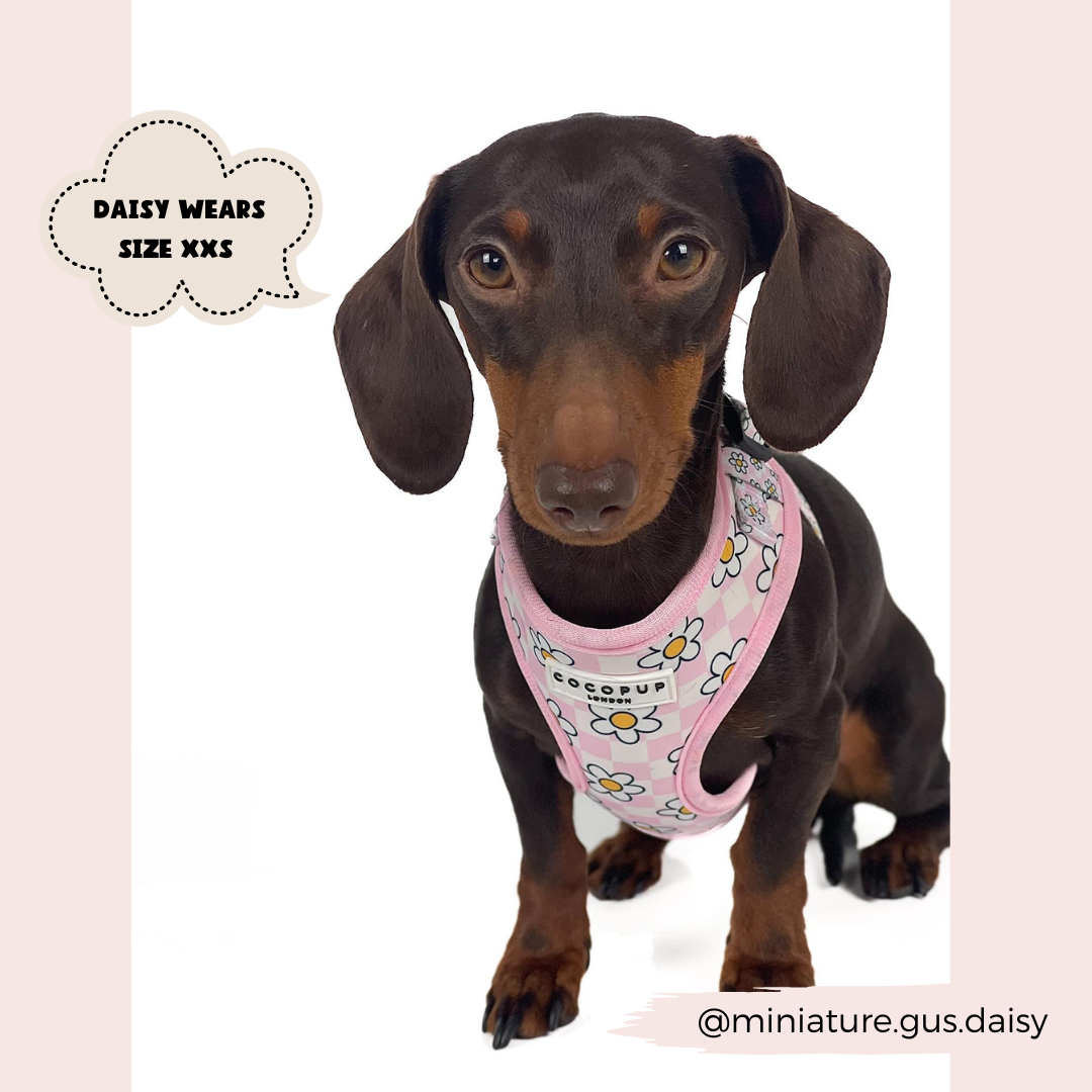 Daisy Gingham Rave Adjustable Neck Harness: