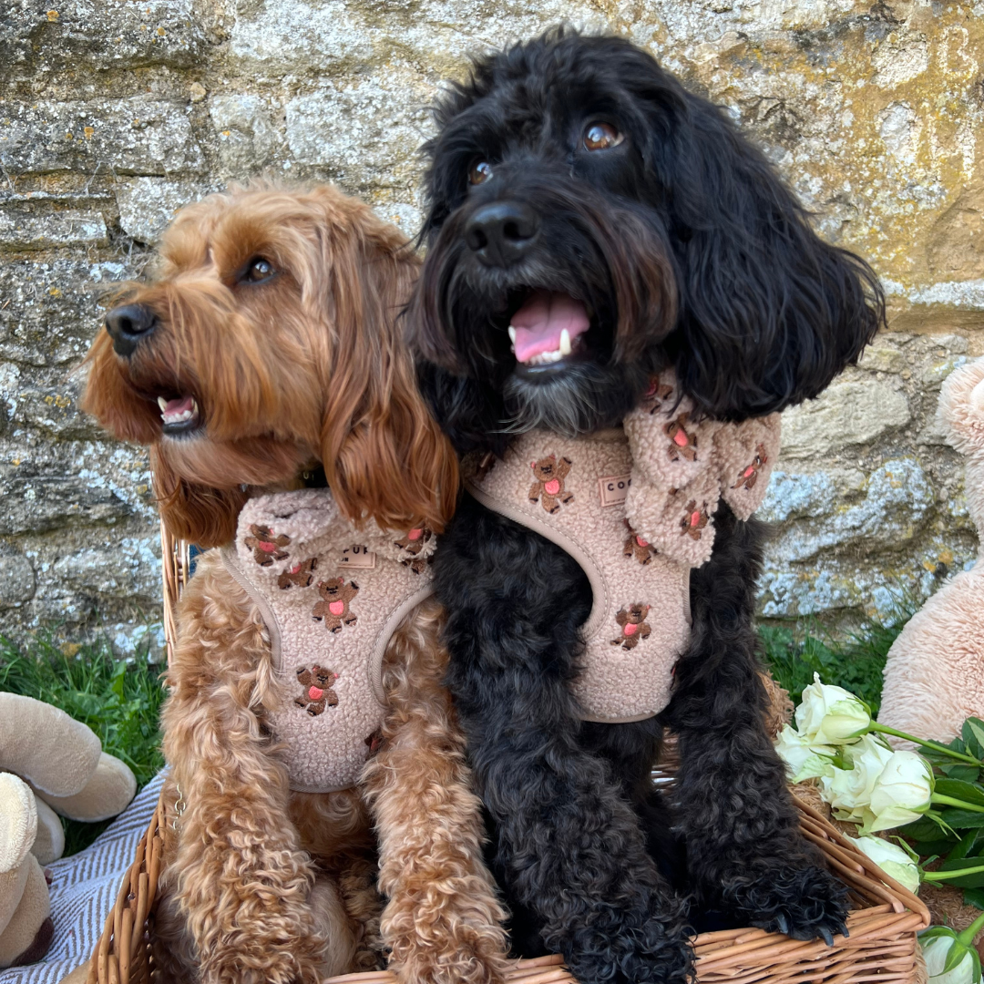 Theo Embroidered Teddy Adjustable Neck Harness: