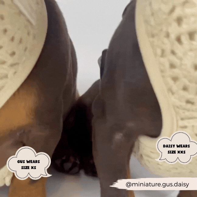 Festival Crochet Adjustable Neck Harness: