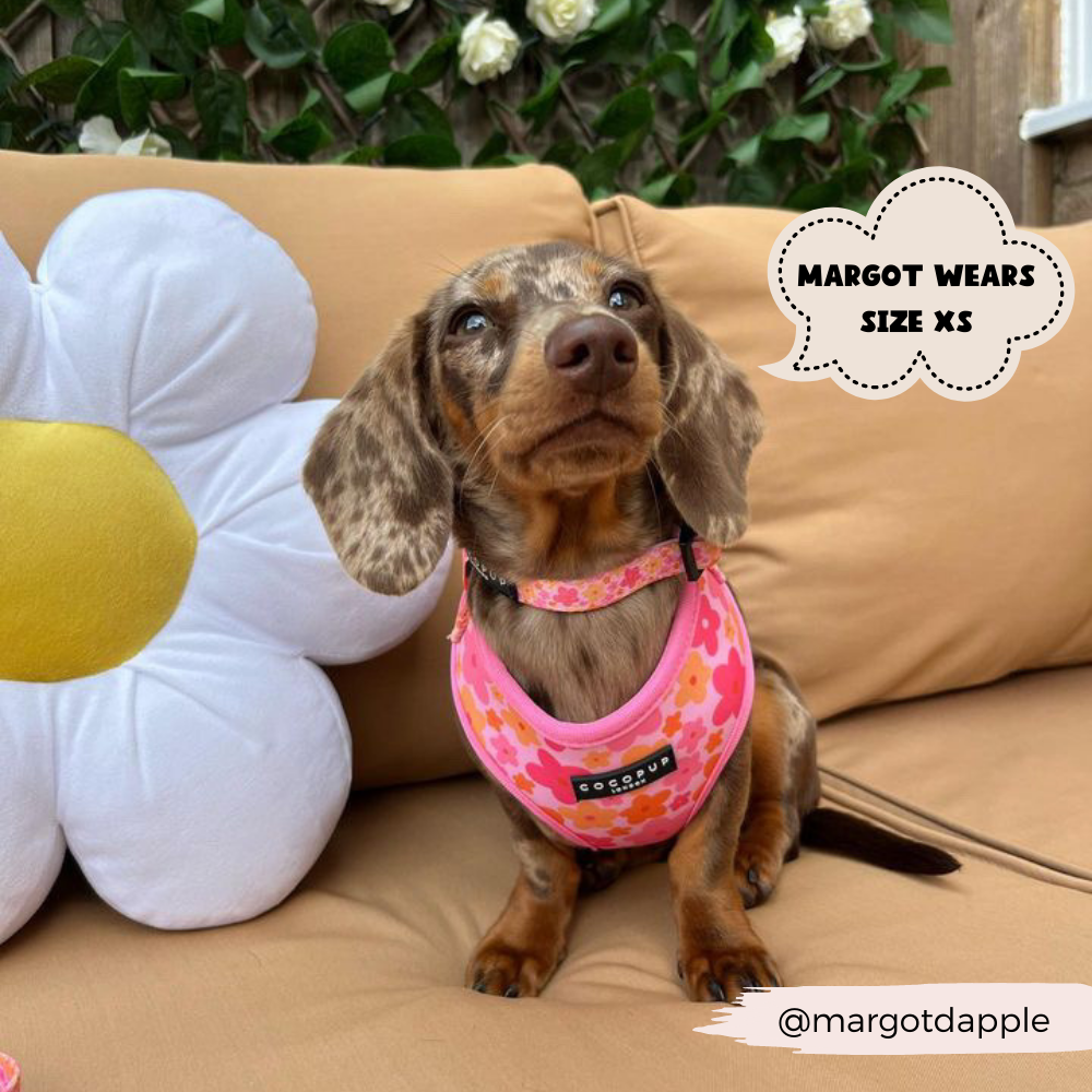Summer Bloom Adjustable Neck Harness: