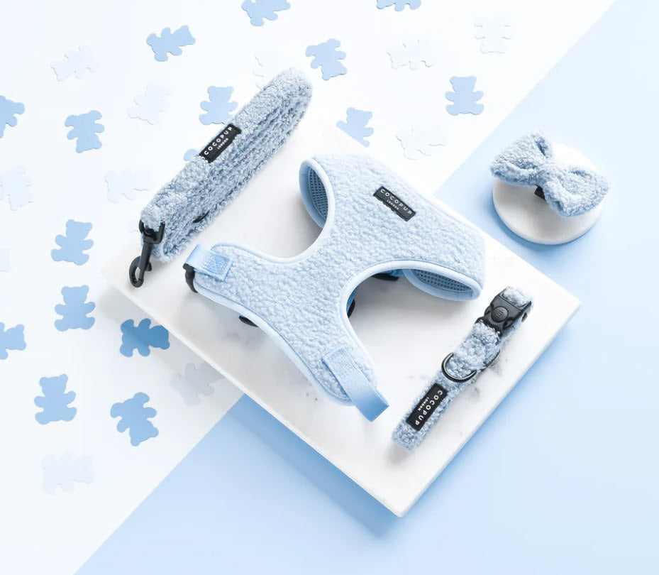 Dog Collar - Cocopup - TEDDY - Day Dream