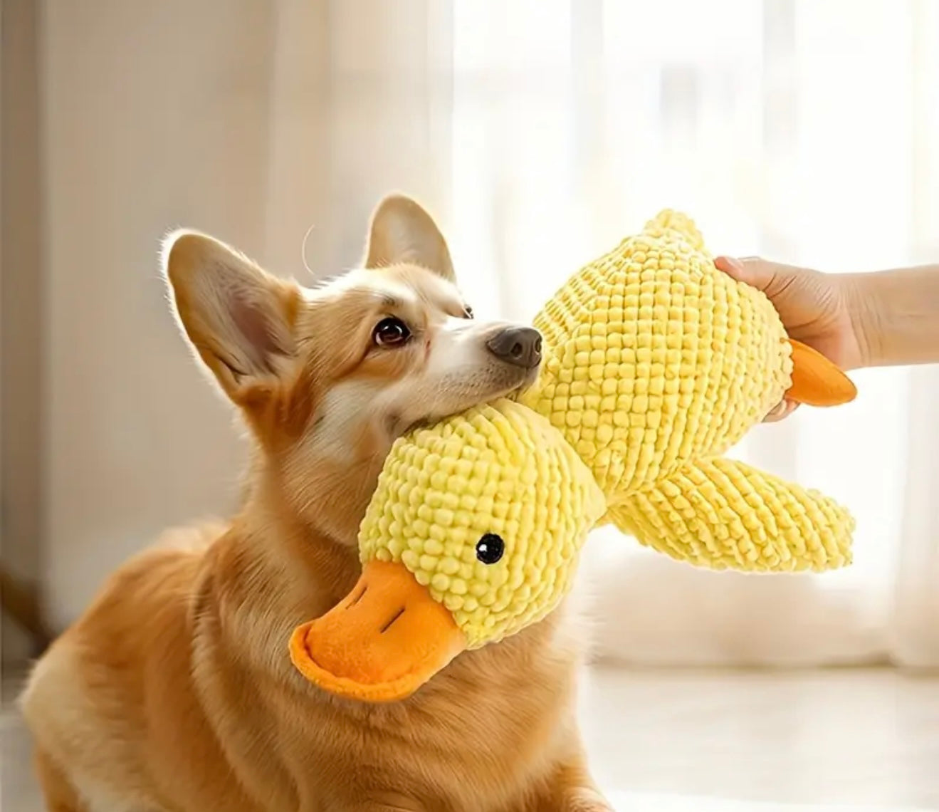 Soft yellow duck