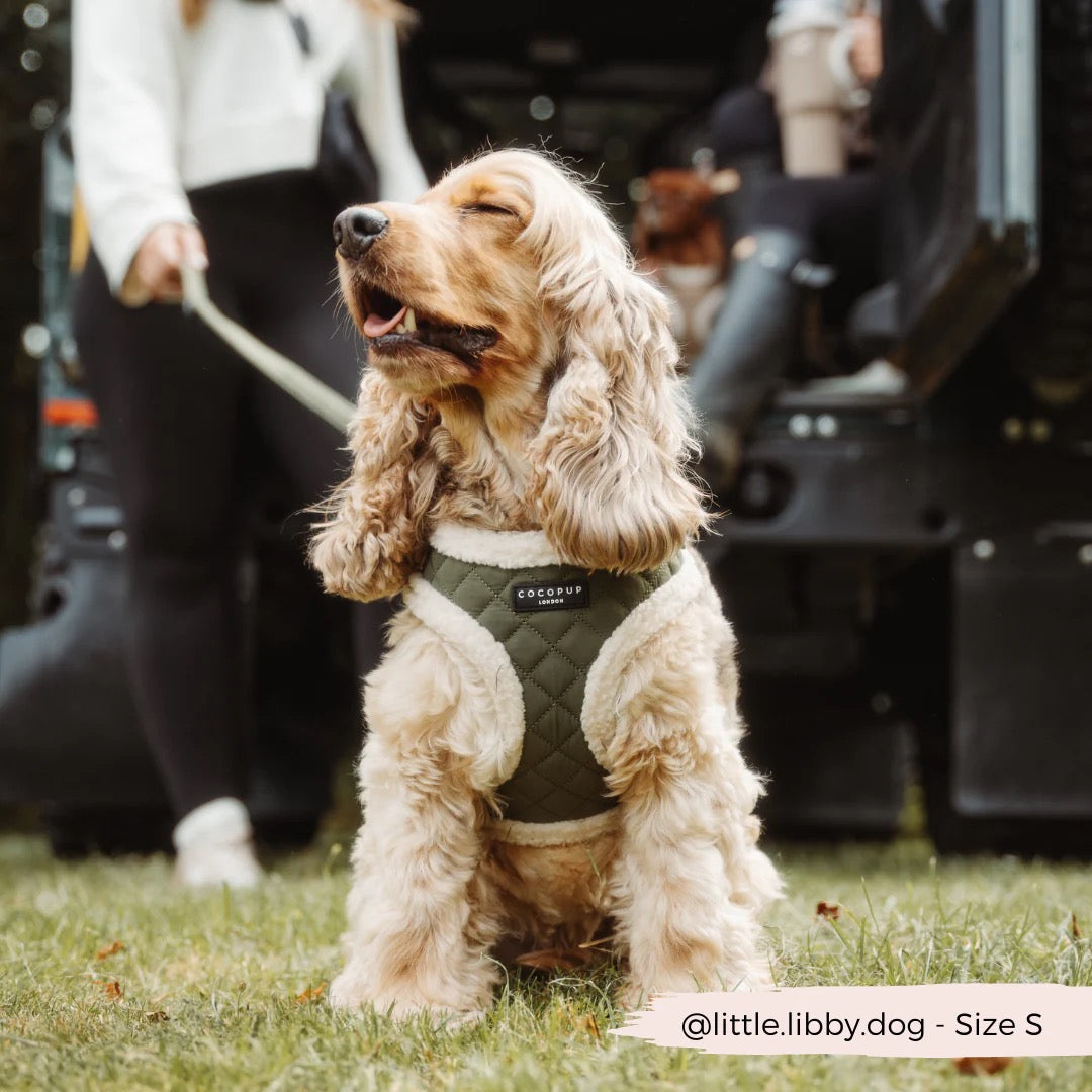 KHAKI QUILTED ADJUSTABLE NECK HARNESS