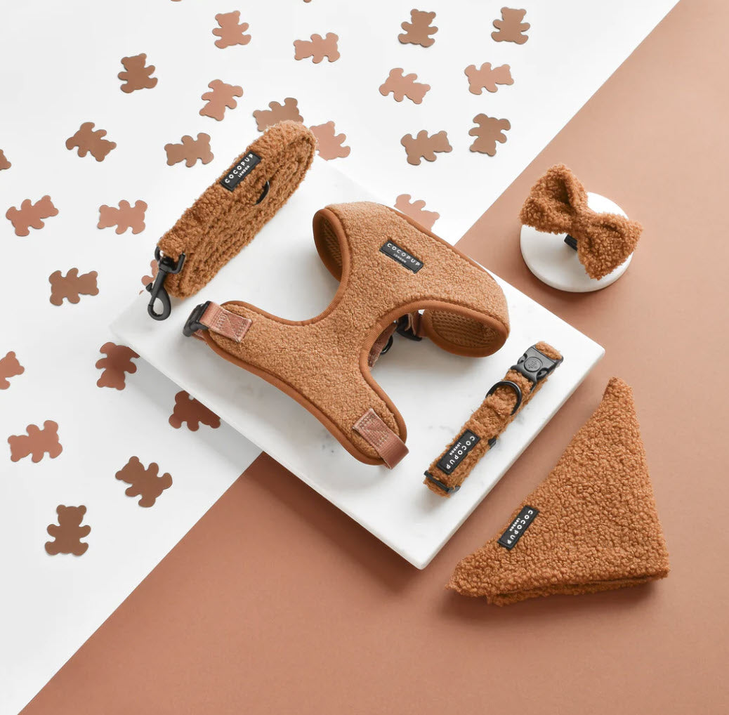 Bow Tie - TEDDY - Paddington