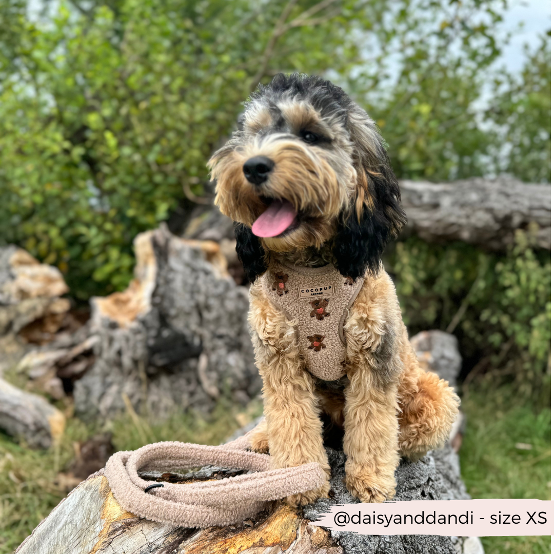 Theo Embroidered Teddy Adjustable Neck Harness: