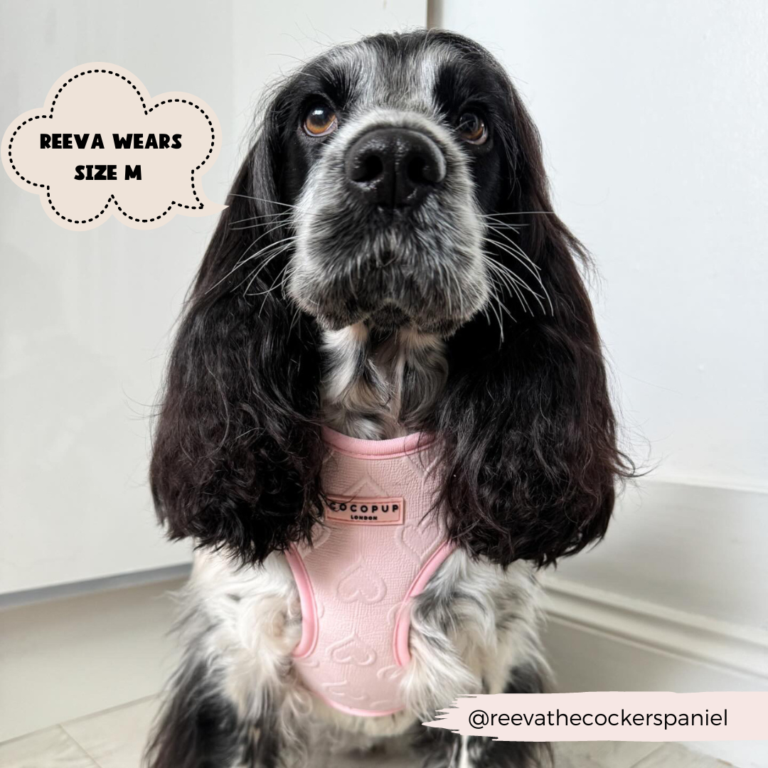 Luxe Adjustable Neck Harness - Baby Pink Heart: