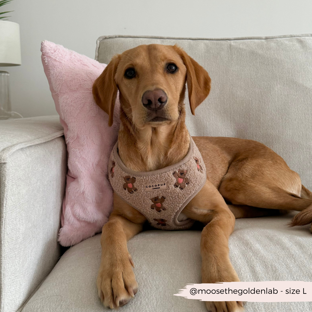 Theo Embroidered Teddy Adjustable Neck Harness: