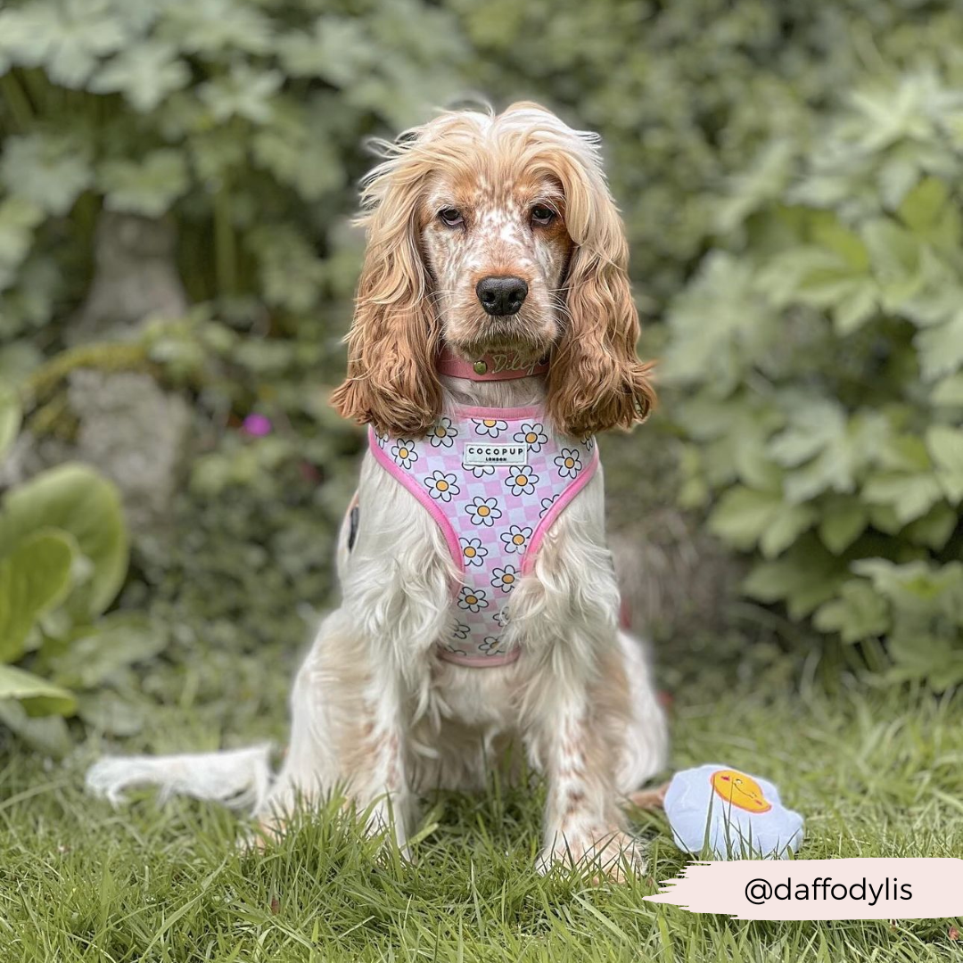 Daisy Gingham Rave Adjustable Neck Harness: