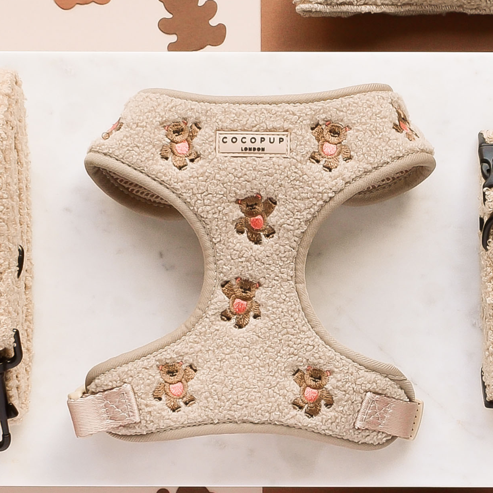 Theo Embroidered Teddy Adjustable Neck Harness: