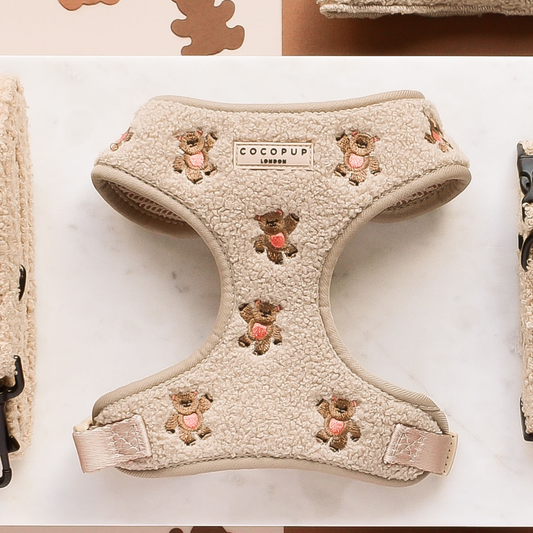 Theo Embroidered Teddy Adjustable Neck Harness: