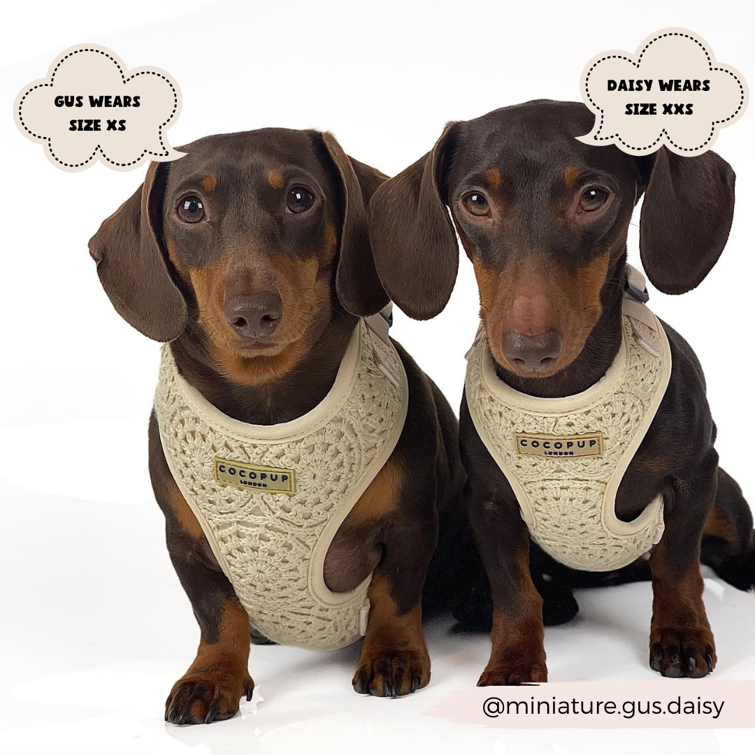 Festival Crochet Adjustable Neck Harness: