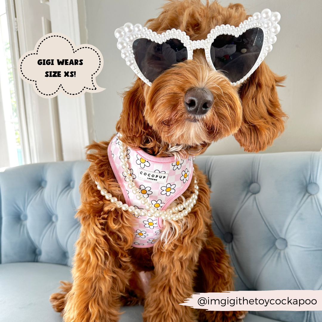 Daisy Gingham Rave Adjustable Neck Harness: