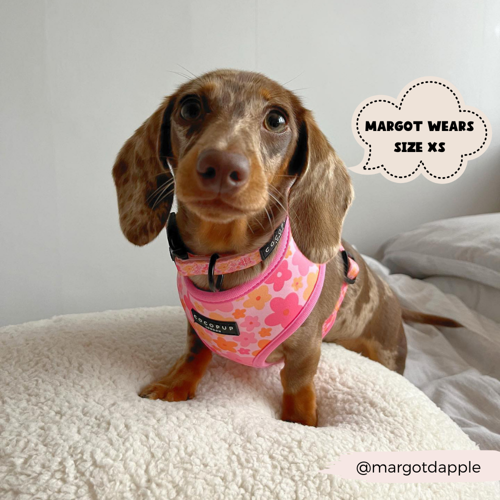 Summer Bloom Adjustable Neck Harness: