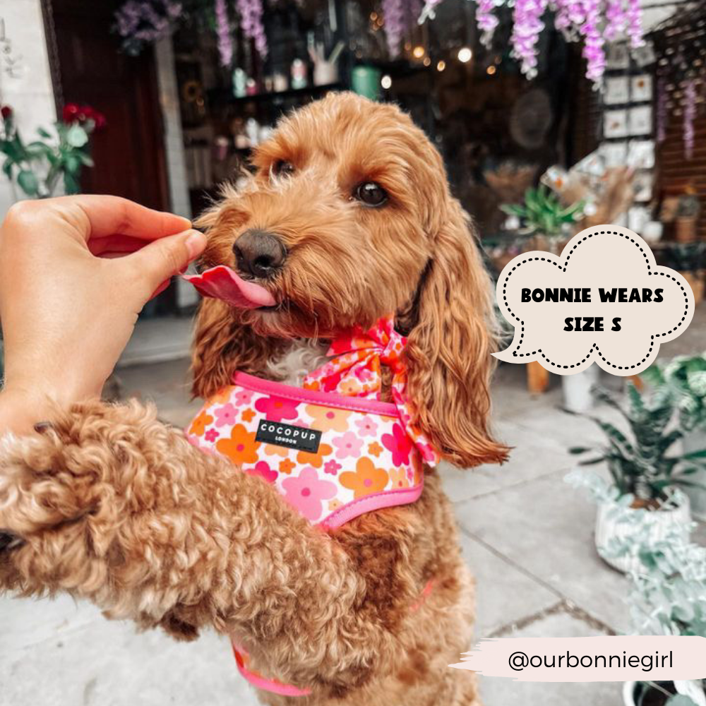 Summer Bloom Adjustable Neck Harness:
