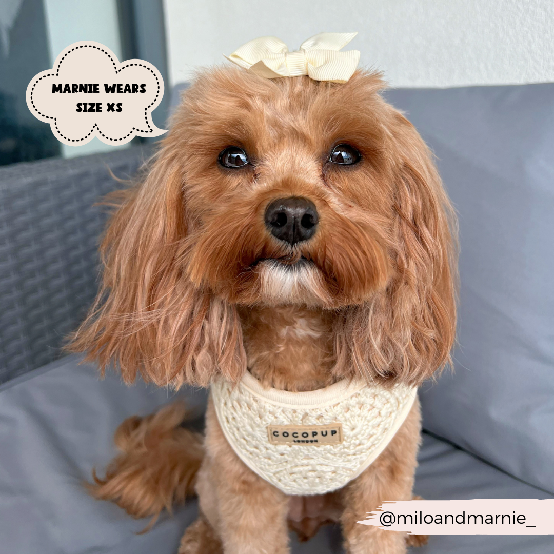 Festival Crochet Adjustable Neck Harness: