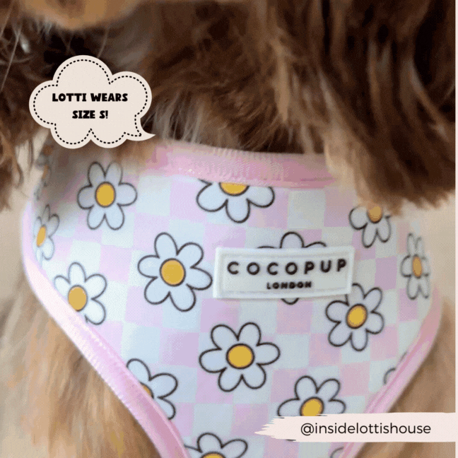 Daisy Gingham Rave Adjustable Neck Harness: