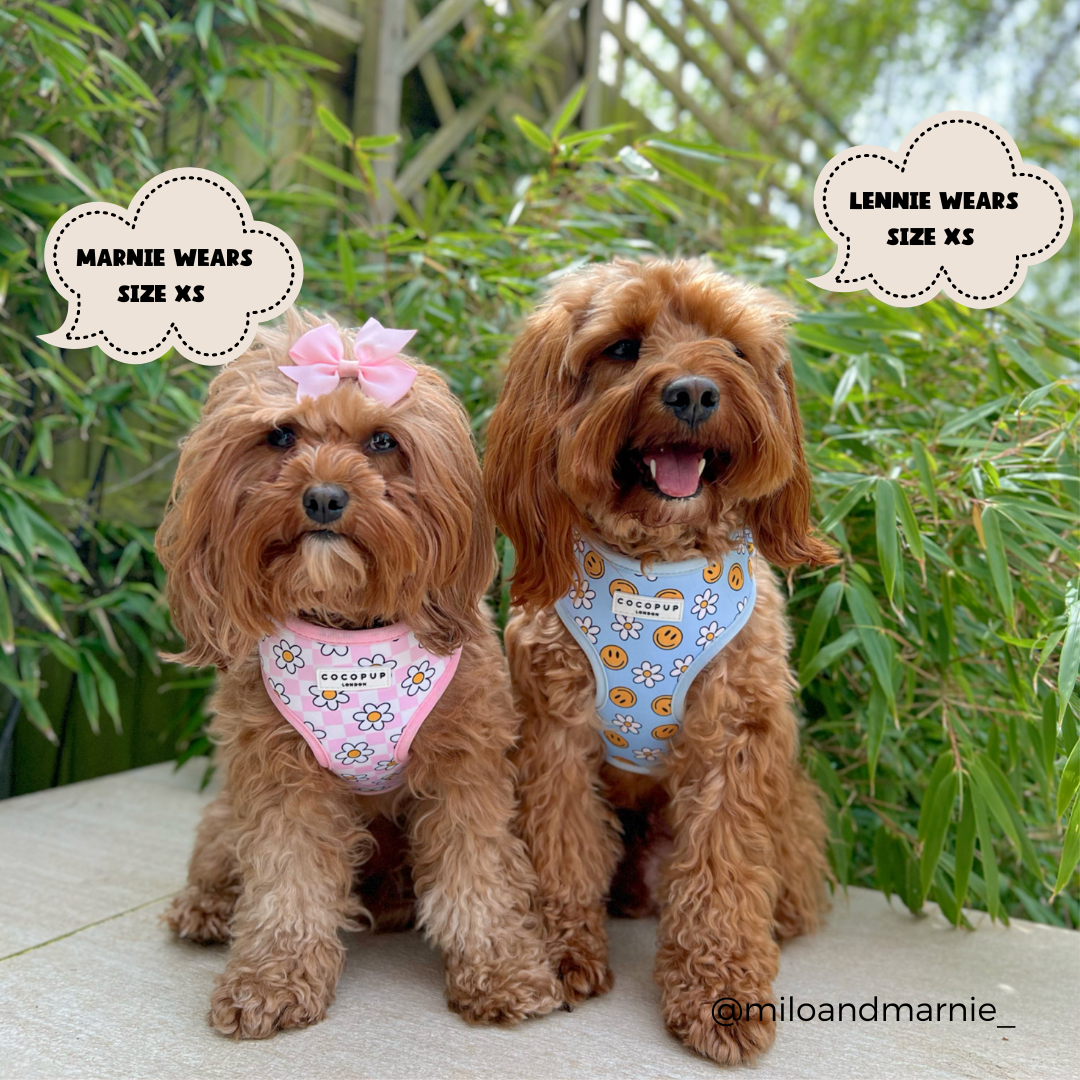 Daisy Gingham Rave Adjustable Neck Harness: