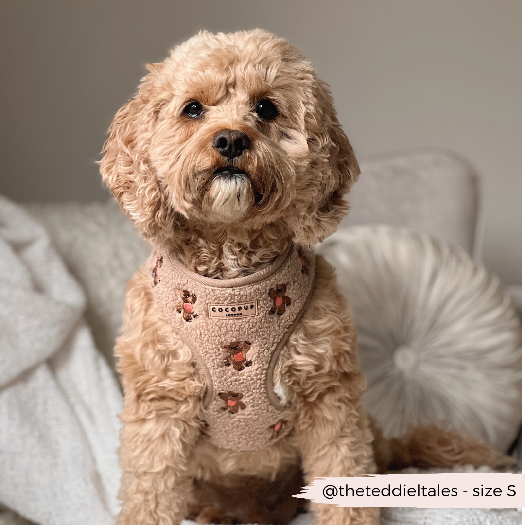 Theo Embroidered Teddy Adjustable Neck Harness:
