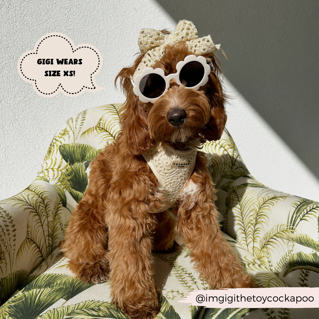 Festival Crochet Adjustable Neck Harness: